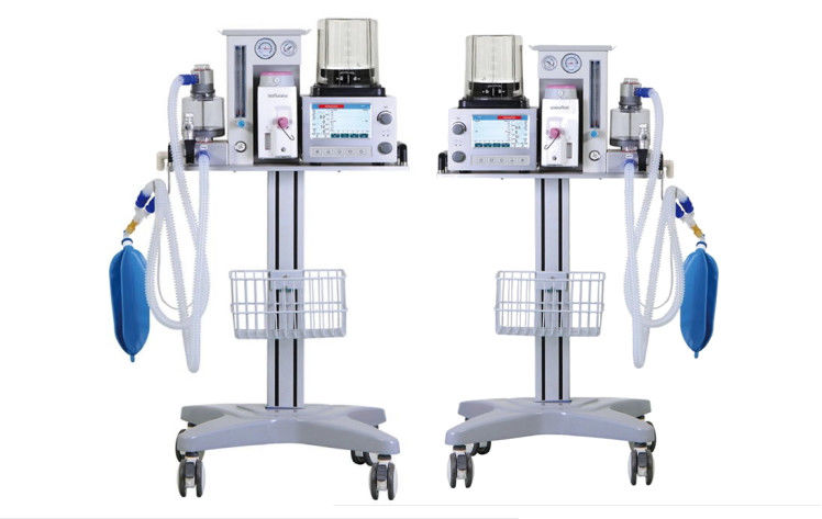 DM6B نظام تهوية التخدير البيطري AC 100-240V 7 بوصة شاشة LCD ملونة